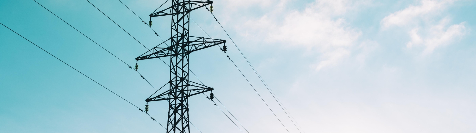 powerlines and power line tower
