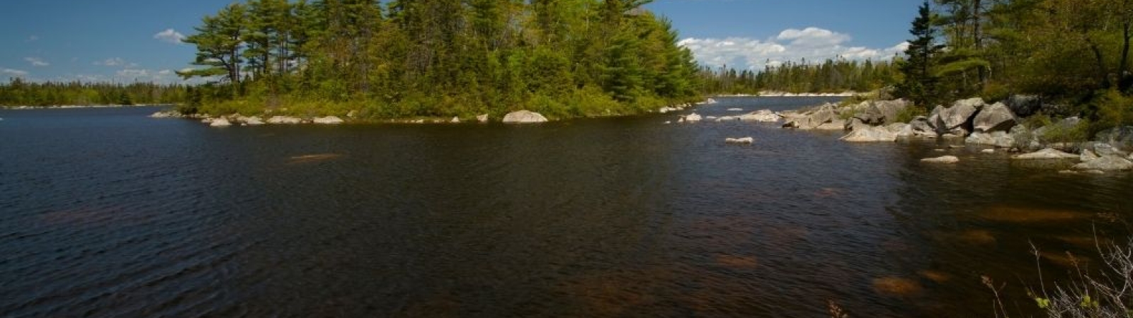 image of Susie's Lake in the Blue Mountain Birch Cove Lakes Wilderness Area