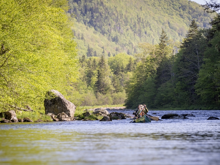 people paddling a canoe down a river